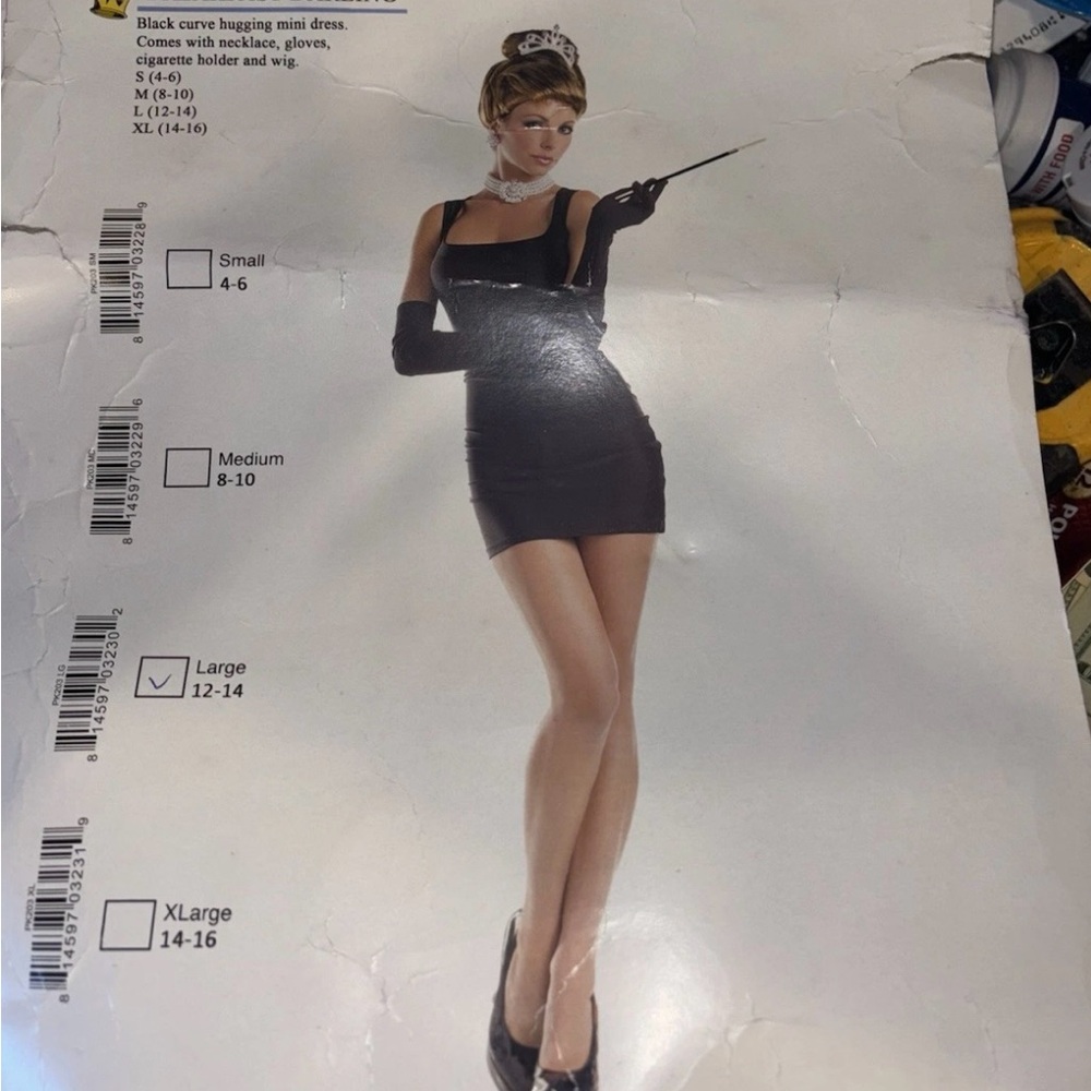 Elegant Black Costume Dress with Accessories